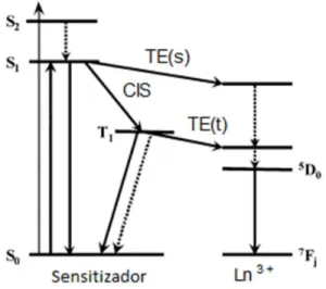 Figura 7. Diagrama  de Jablonski  ilustrando o efeito antena  TE(s) – transferência  de  energia do estado  singleto; TE(t) – transferência de energia do estado tripleto; CIS – cruzamento intersistema