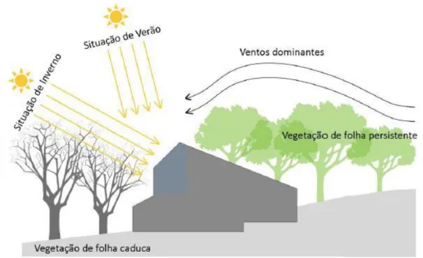 Figura 2.4 – Barreira de vegetação à radiação solar   (M. Amado et al., 2015) 