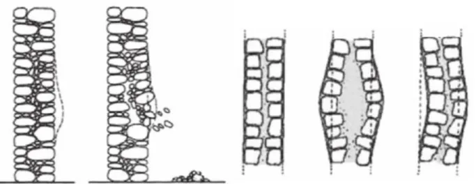 Figure 2.8 Collapse of multi-leaf masonries by partial separation of the external leaf (Mauro and Felice 2012) Figure 2.7 Deformation and failure of a two leave wall (Binda et al