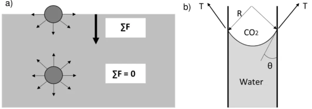 Figure 3.4  –  a) Equilibrium of water molecules; b) Capillary meniscus (adapted from Laloui, 2010)Solid