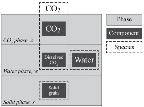 Figure 3.6 - Phases and species of the system (Li C., 2013)