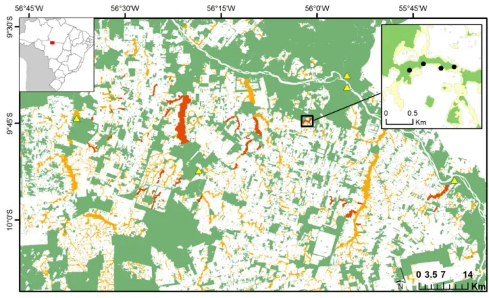 Figure 1. Study area in the state of Mato Grosso, Brazil, showing all the 38 sampled riparian  remnants in red and the other identified riparian strips in orange, as well as the pseudo-control 