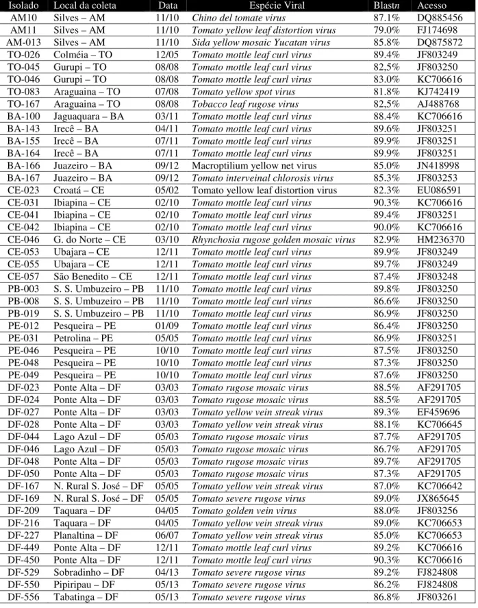 Tabela 2 – Isolado, local e data da coleta, espécie viral, porcentagem de identidade Blastn e  número de acesso dos 126  isolados de begomovírus do tomateiro que podem representar  potenciais novas espécies de acordo com critérios de demarcação propostos p