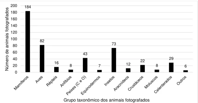 Figura 4. Número de fotografias por grupo taxonômico animal nos capítulos de  ecologia de nove coleções do PNLD 2015 (n=490)