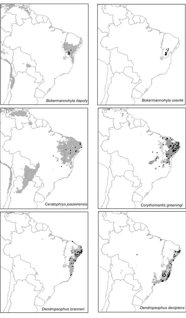 Figura S1. Mapas binários de distribuição das espécies.  ! !! ! !!! ! ! !! Bokermannohyla itapoty ! ! !!!!!!!!!!!!!!!!!! ! ! ! !!!! !!!!!!!!! ! ! ! !!!!!!!!!!!!!!!!!!!!!!!!!!!!!! !! ! !!!!!!!!!!!!!!!!!!!!!!!!!!!! !!!! !!! !!!!!!!!!!!!!!!! !!!!!!!!!!!!!!!! 