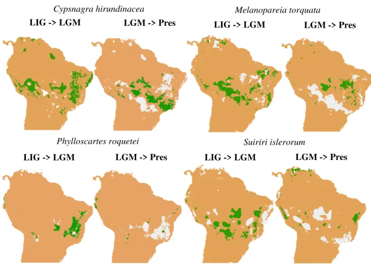 Figure 1 – Pairwise analysis showing significant difference between temporal regions of the  projections (Pres - 0ka; LGM - 21ka, LIG - 120ka) within species