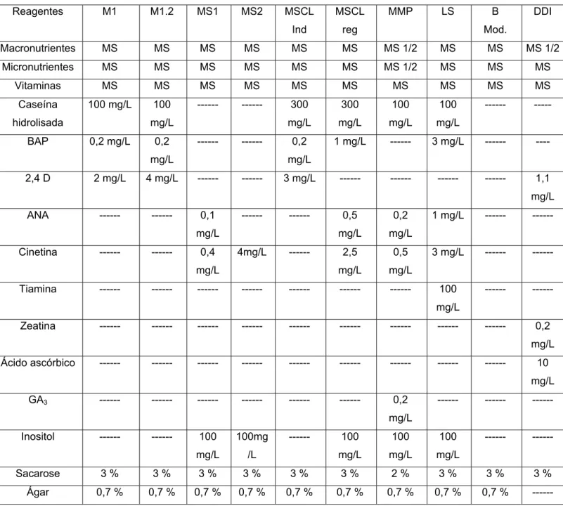Tabela 1: Meios de cultura utilizados nos trabalhos de cultura de tecidos  Reagentes  M1   M1.2  MS1  MS2  MSCL   Ind  MSCL  reg  MMP LS  B Mod