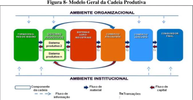 Figura 8- Modelo Geral da Cadeia Produtiva 