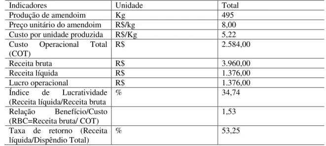 Tabela 3 - Análise de eficiência de 0,6 hectares do processo produtivo de amendoim para  o segmento pré-empresa familiar no Distrito de Monte Alverne, localizado no munícipio 