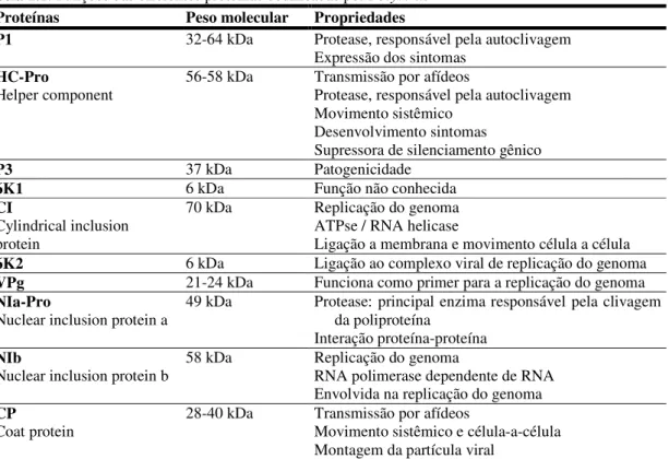 Tabela 1.1: Funções das diferentes proteínas codificadas por Potyvirus   Proteínas  Peso molecular  Propriedades 
