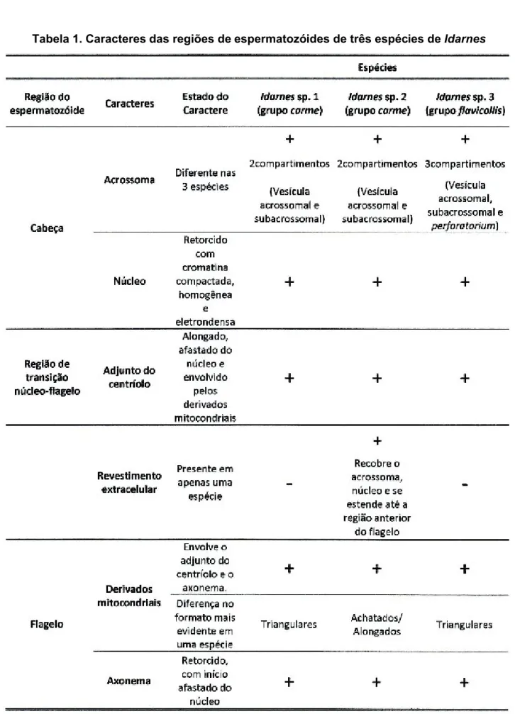 Tabela 1. Caracteres das regiões de espermatozóides de três espécies de  Idarnes