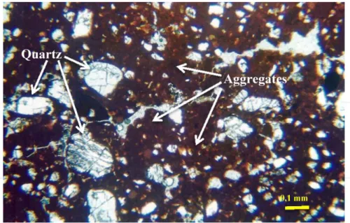 Figure 8. Photomicrography of the porfirosquelic APE, aggregates, and quartz grains of the compacted lateritic soil.