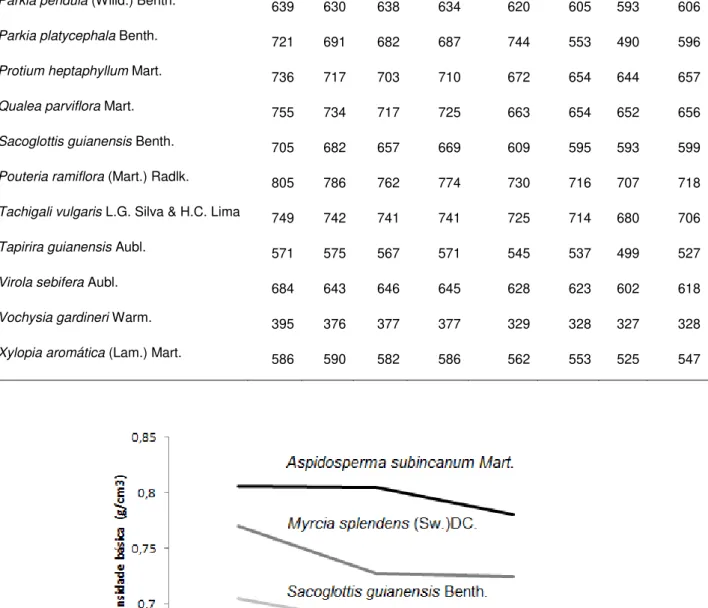 Figura 2. Variação axial da densidade básica de madeira de tronco de Saglocottis guianensis,  Aspidosperma subincanum e Myrsia spends