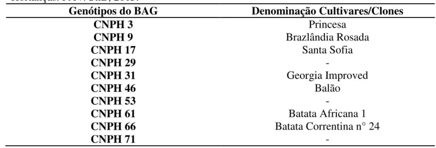 Tabela  1  -  Genótipos  do  Banco  de  Germoplasma  (BAG)  de  batata-doce  da  Embrapa  Hortaliças