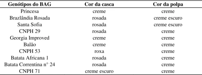 Tabela  6  -  Coloração  de  casca  e  polpa  das  raízes  dos  genótipos  de  batata-doce  avaliados