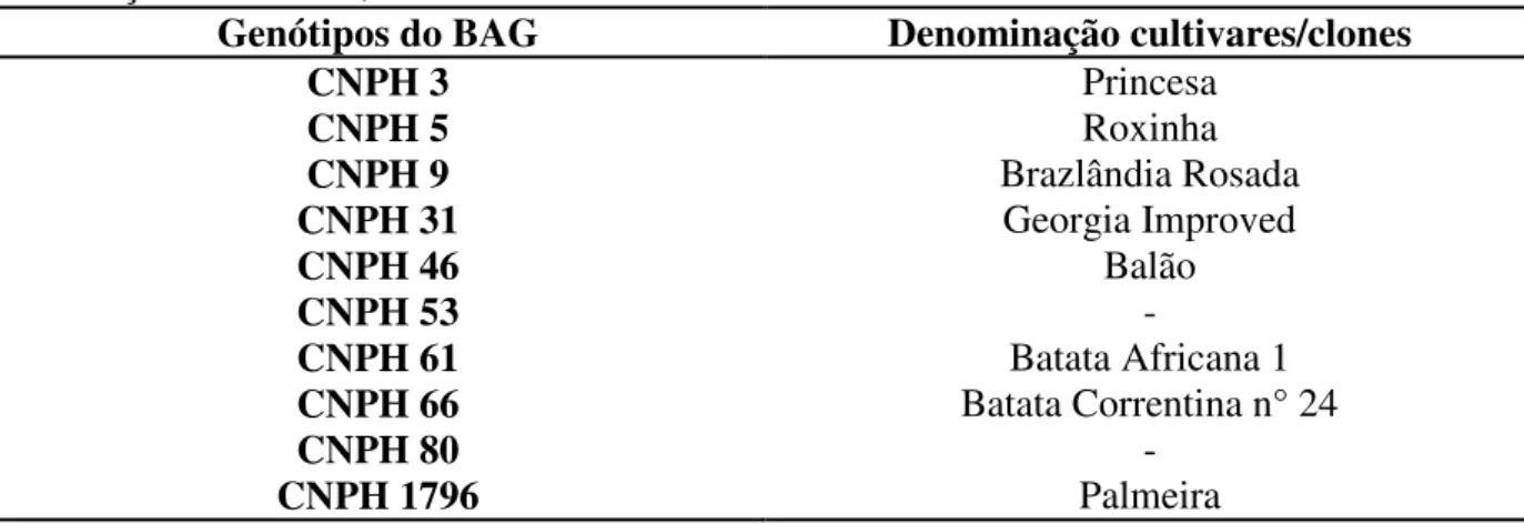 Tabela  1  -  Genótipos  do  Banco  de  Germoplasma  (BAG)  de  batata-doce  da  Embrapa  Hortaliças