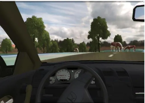 Figura 42 - Imagem  do simulador, no momento  em que surgem  os bovinos. 