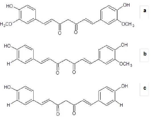 Figura 6 - Estrutura química de curcuminóides extraídos de Curcuma longa L. 
