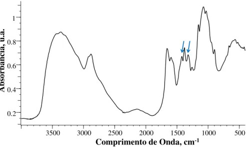 Figura 11 - Espectro de infravermelho (FTIR) da quitosana. 