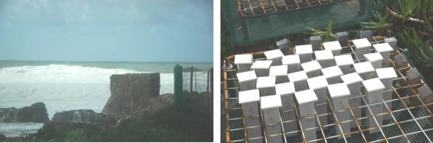 Figure 3.  Marine curing site at Cabo Raso, Cascais (left) and M samples (right) 