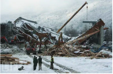 Figure 3: Bad Reichenhall ice-arena collapse