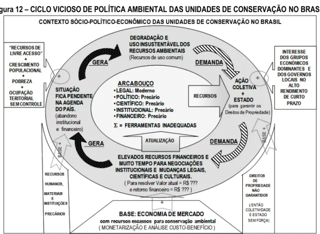 Figura 12  –  CICLO VICIOSO DE POLÍTICA AMBIENTAL DAS UNIDADES DE CONSERVAÇÃO NO BRASIL 