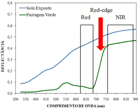 Figura 3. Reflectâncias na faixa espectral de 300 a 900 nm de uma amostra de solo vermelho  (Latossolo  Vermelho  Escuro)  e  de  um  a  área  coberta  com  pastagem  cultivada  verde