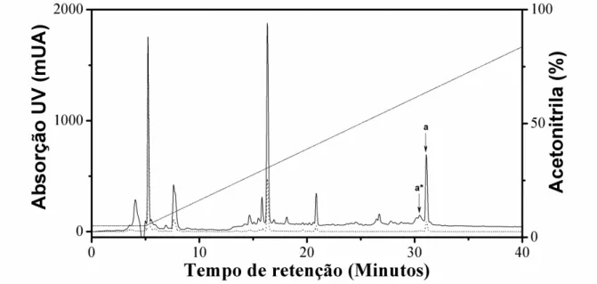 Figura 2 - Cromatograma referente à separação dos componentes da peçonha de  Synoeca surinama em coluna  de fase reversa mediante aplicação de gradiente linear de solvente B, variando de 5% a 95% em 40 minutos, sob  fluxo de 1 mL/min e monitoramento em 216
