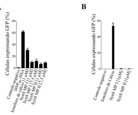 Figura 5 - Expressão relativa de proteína verde fluorescente em mastócitos (RBL-2H3 NFκB2) como resultado  da  ativação  de  (A)  NFκB  e  (B)  NFAT  induzida  pelos  mastoparanos  SynS  MP  I  e  SynS  MP  II