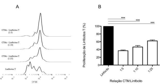 Figura  5.  Ensaio  de  Proliferação  de  linfócitos.  A)  Histograma  de  CMSP  marcadas  com  CFSE,  ativadas  com  fitohemaglutinina  e  submetidas  ao  cocultivo  por  5  dias  com  CTMs  em  diferentes  concentrações