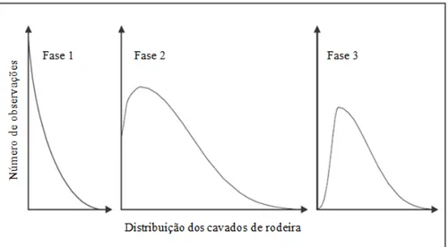 Figura 2.16  –  Diferentes tipos de distribuição dos cavados de rodeira ao longo do período de vida útil de um  pavimento (N