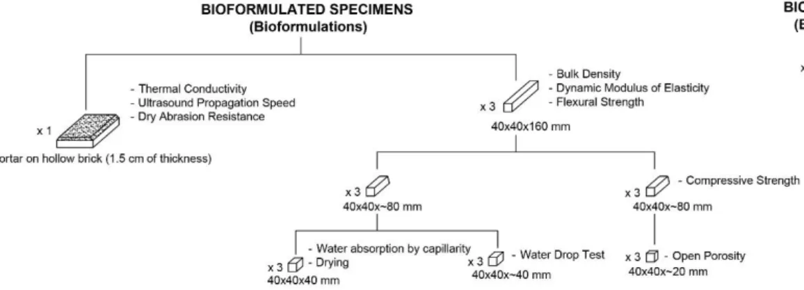 Figure  3.1 summarizes the experimental campaign, specifying the performed tests and the size of each  specimens