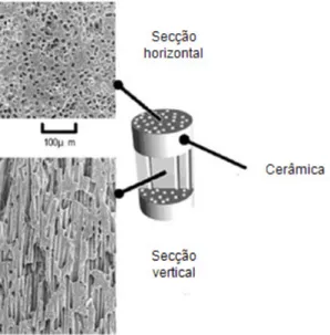 Figura 2.11 - Seções transversais da cerâmica usada no sistema de arrefecimento (He e Hoyano 2010)