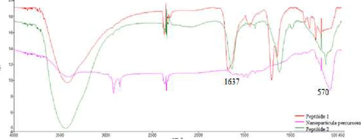 Figura 11. Espectro de infravermelho comparando a nanopartícula percursora e os  peptóides 1 e 2 