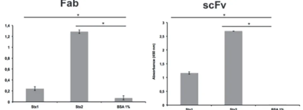 Fig 2. ELISA for Stx toxin detection by Fab and scFv fragments. The assay was performed in triplicate and considered positive when * p &gt; 0.05 by Student ’ s t-test versus control.