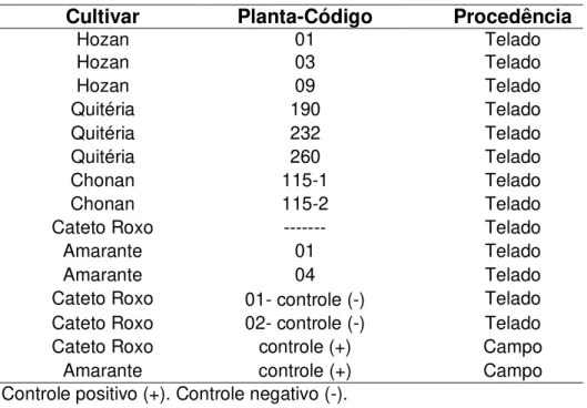 Tab.  5:  Amostras  de  plantas  de  alho  (Allium  sativum)  analisadas provenientes da Embrapa Hortaliças