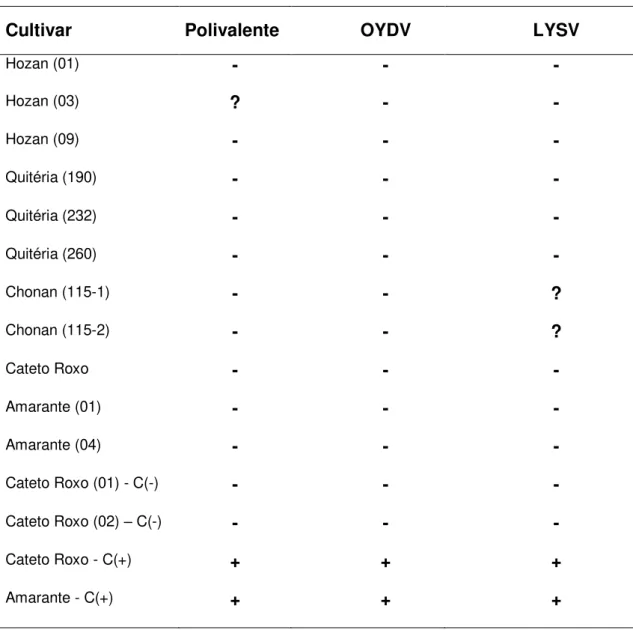 Tab.  6:  Detecção  do  complexo  viral  do  alho  por  NCM-Elisa  com  antissoros  policlonais  em  amostras  do  banco  de  germoplasma  da  Embrapa Hortaliças