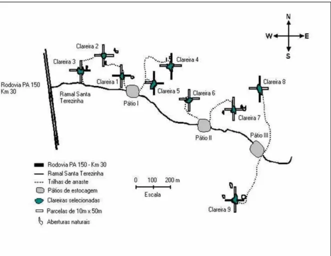 Figura 1.2. Disposição das nove clareiras selecionadas para estudo na Estação Experimental da Embrapa Amazônia Oriental, Moju, PA (Fonte: Bicelli, 2001).