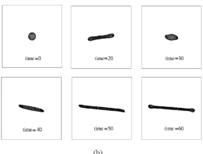 Figure 7 shows a com plex rheology corresponding to a nonlinear frequency response for high st rain am plit udes  ( Ca/ W = 50) 