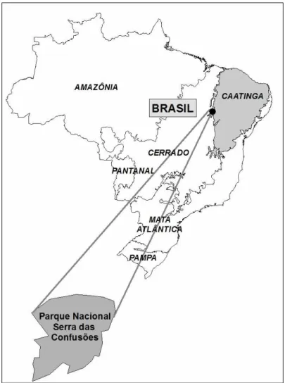 Figura 3. Localização do Parque Nacional Serra das Confusões – PI no Brasil e na Caatinga
