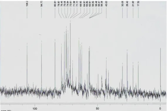 Figura 18: Espectro de RMN de  13 C de PTE01 (75MHz, D 2 O) 