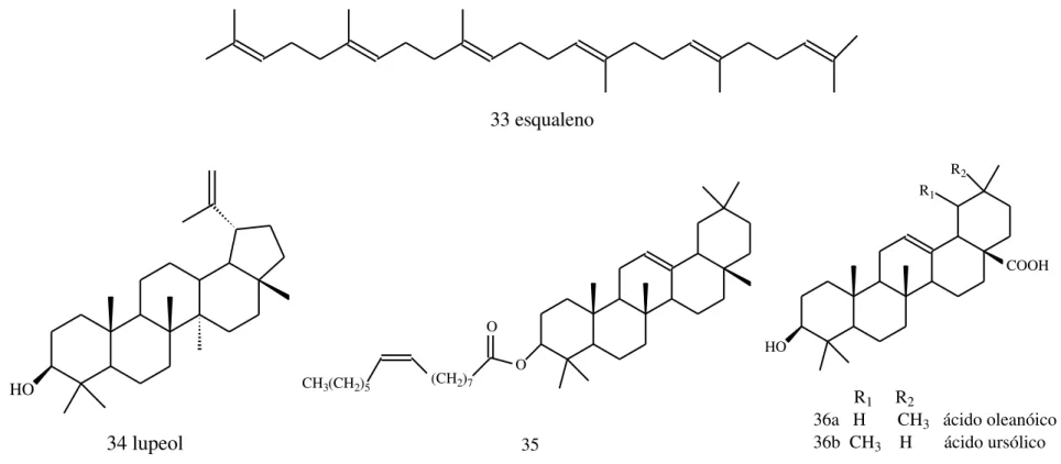 Figura 6: Terpenos que apresentam atividade inibitória sobre α-amilase  33 esqualeno HO 34 lupeol OO(CH2)7CH3(CH2)5 35 HO COOHR1R2         R1     R2