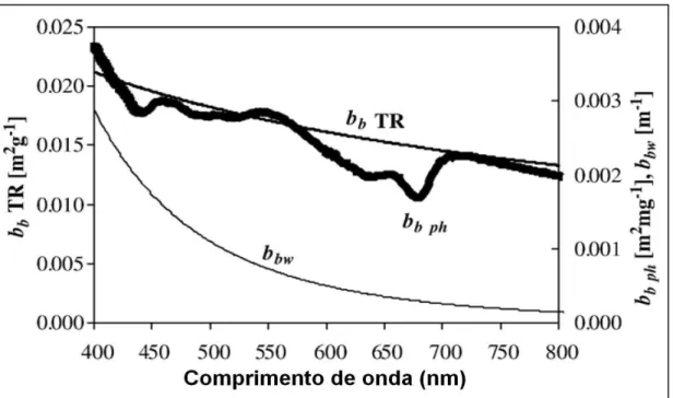 Figura 16 - Variação espectral dos coeficientes de retroespalhamento específicos da água pura (b bw ), do  fitoplâncton (b b ph ) e do material particulado não orgânico (b b TR )