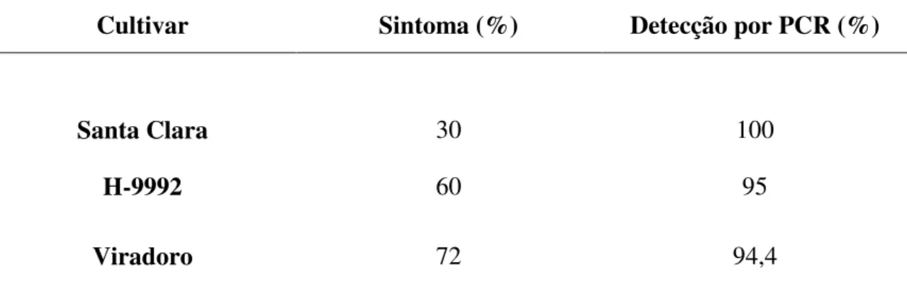 Tabela 4: Porcentagem de plantas infectadas análise visual (sintoma) e detecção  por PCR