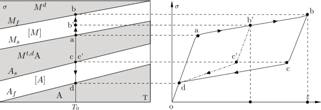 Figure 3.14: Variation of strain-amplitude. Phase diagram path and correspondent isothermal hysteresis.