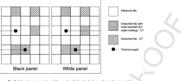 Fig. 3. Schematic representation of the panels with the detached anomalies and instrumentation.