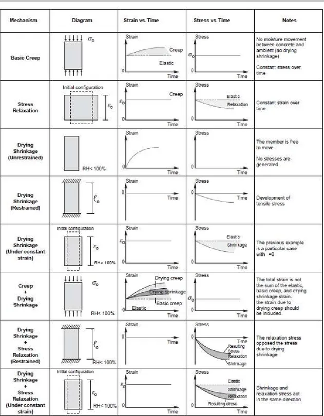 Figure 2.5: Strain and stress behaviour over time with respect to loading, restraining and curing conditions (Mehta and Monteiro 2006)