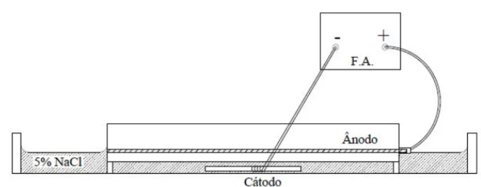 Figura 3.4: Esquema da pilha eletrolítica do modelo de dano.