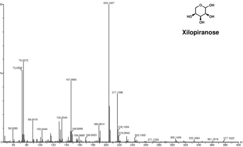 Figura 24. Espectro de massa do açúcar xilopiranose (17,25 min com ~ 100%) do documento Brasil nº7 (grupo  dos castanhos) na análise de polissacarídeos