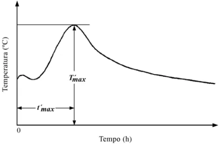 Figura 3.5: Curva de temperatura no processo de hidratação do cimento (adaptado de Wei et al., 2000).
